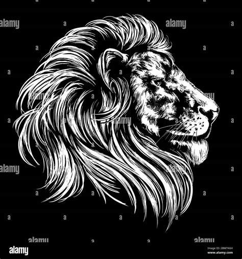 Animal Lion King Of Beasts Hand Drawn Vector Illustration Realistic