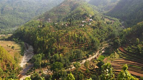 In Nepal Out Migration Is Helping Fuel A Forest Resurgence Yale E360