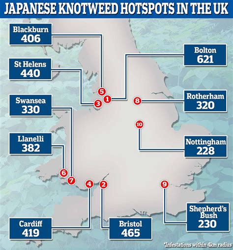 Uk S Japanese Knotweed Hotspots Shown On Interactive Map Daily Mail My Xxx Hot Girl
