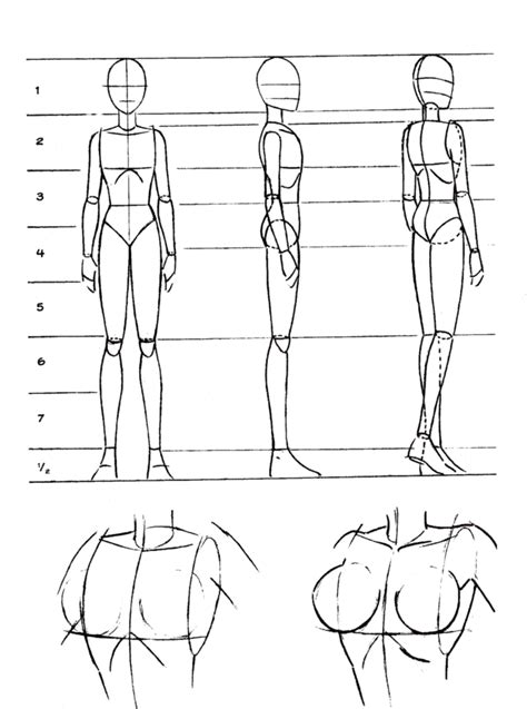 Croquis Corpo Mulher Pesquisa Google Anatomy Sketches Anatomy