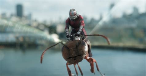 Ant Man Riding Ant In Ant Man And The Wasp Wallpaper Hd Movies 4k