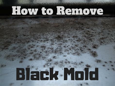 Black mold can also grow on wooden surfaces if there is a nearby water source. The Basics of Black Mold Removal | How to remove, What ...