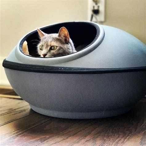 Indoor Heated Cat Beds — Kandh Pet Products