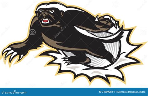 Honey Badger Mascot Jumping Stock Vector Illustration Of Badger
