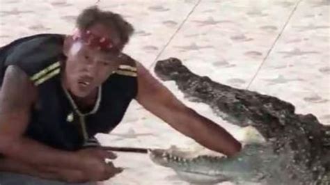 Crocodile Bites Down On Trainers Arm In The Middle Of Show