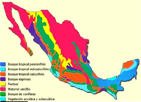¿cuáles Son Los Principales Biomas De México México Mi País