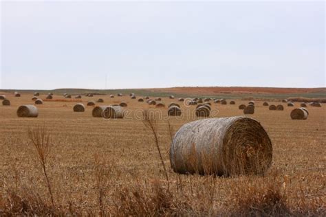 Large Hay Bales Stock Photo Image Of Land Farming Countryside 7410330