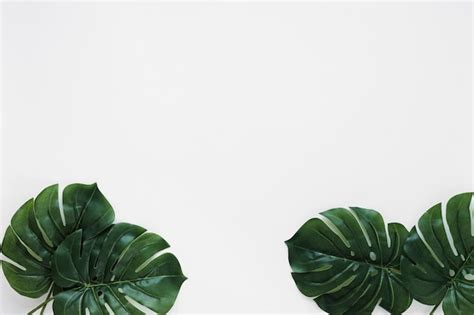 Free Photo Flat Lay Of Tropical Leaves With Copyspace