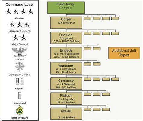 Ever Wonder What The Us Army Unit Structure Looked Like Us Army Unit