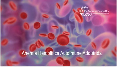Anemia Hemolítica Autoimune Adquirida Dr Marcel Brunetto