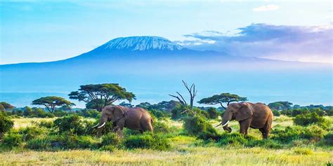 5 Days Tanzania Wildlife Safari Ngorongoro Crater Tanzania