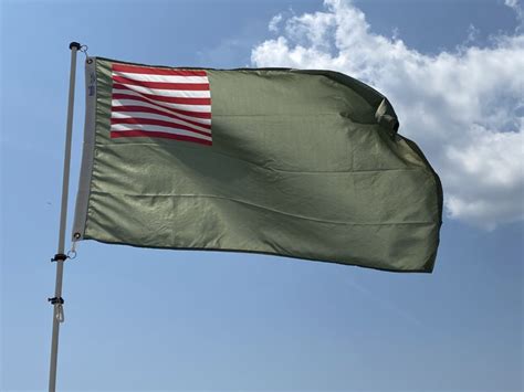 Delaware Militia Flag Cape Pole And Flag