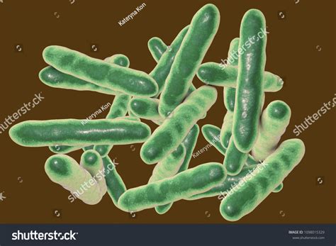 Tropheryma Whipplei Bacteria Causative Organism Whipples Stock