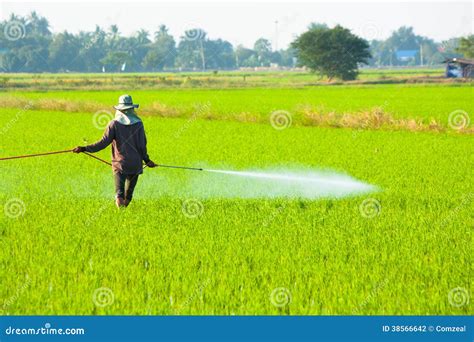 Farmer Spraying Pesticide Stock Photo Image Of Equipment 38566642