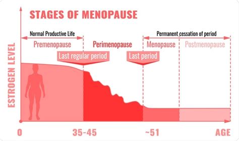 What Should I Eat During Menopause