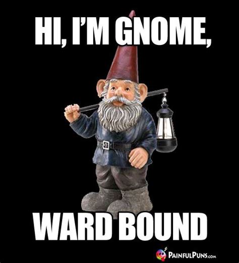 Hi Im Gnome Ward Bound Funny Gnomes Gnomes Puns