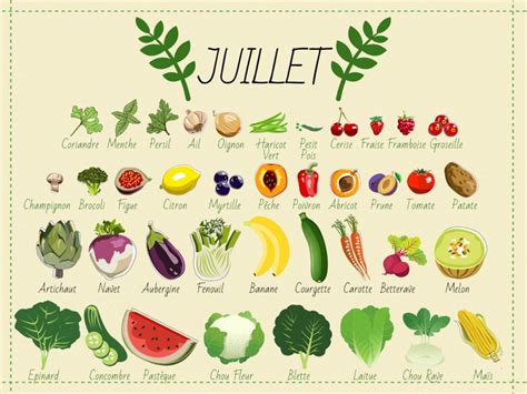 Fruits Et Légumes De Saison Du Mois De Juillet Cabinet Diététique