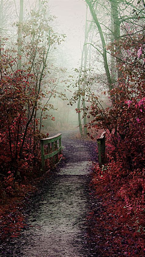 Misty Autumn Path Android Wallpaper Free Download