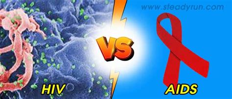 Difference Between Hiv And Aids Differences Comparison