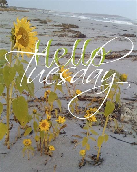 Happy Tuesday Coastal Lovers ~ Tuesday Quotes Tuesday Images Happy