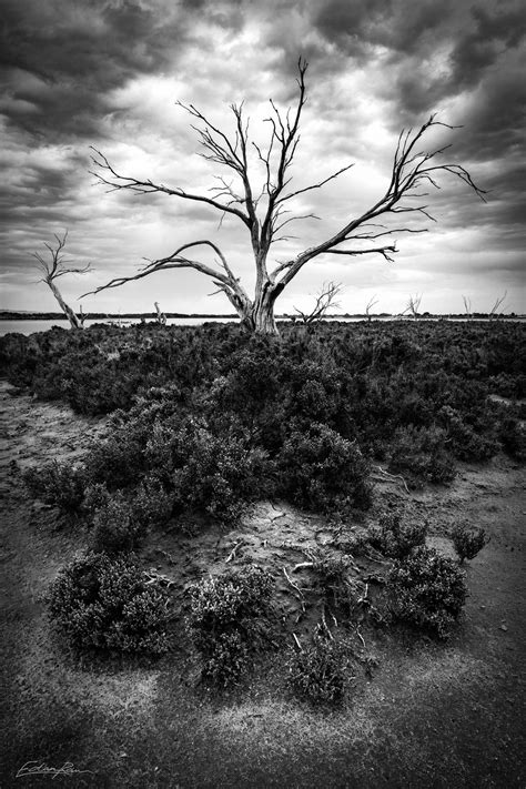 Southern Land Australian Landscape Photography By Edan Raw