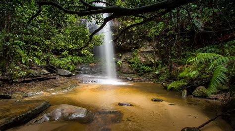 Beautiful Waterfall Deep In The Jungle Adeline Falls South