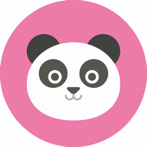 Account Animal Avatar China Panda User Picture User Profile Icon