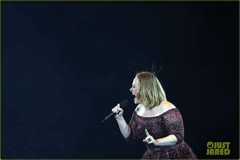 Adele Says She May Never Tour Again During Final Show Photo