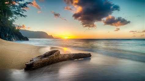 5120x2880 Driftwood On Beach At Sunset On North Shore Of Kauai 8k 5k Hd 4k Wallpapersimages