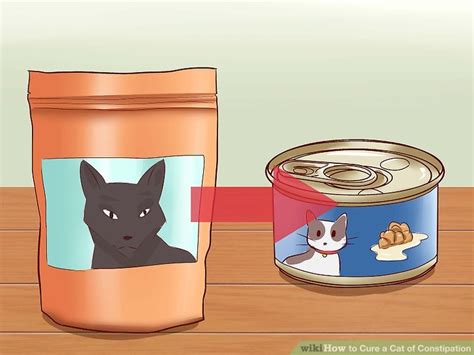 This is because traditionally it is better to use wet cat food. Veterinarian-Approved Advice on How to Cure a Cat of ...