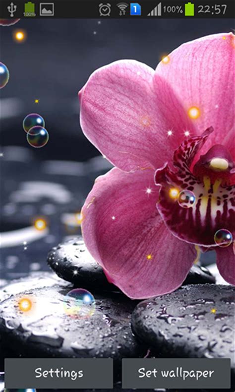 We have a lot of different topics like nature, abstract and a lot more. Orchid HD für Android kostenlos herunterladen. Live ...