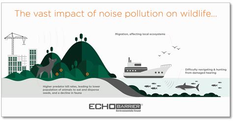This Is How Animals Suffer From Noise Pollution