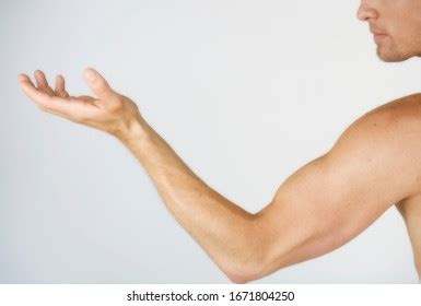 Male Nude Arm Muscles Stock Photo 1671803371 Shutterstock