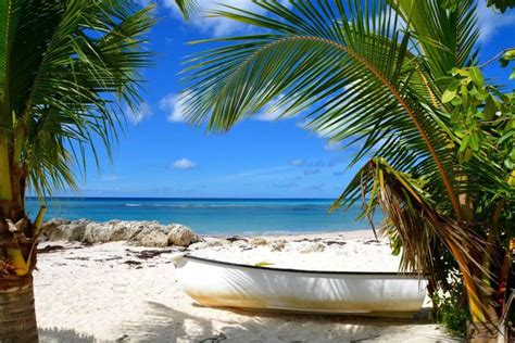 7 best beaches in barbados to visit in august 2022 swedbank nl