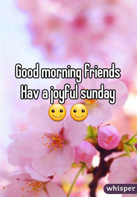 Good Morning Friends Hav A Joyful Sunday ☺☺
