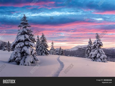 Fantastic Winter Image And Photo Free Trial Bigstock