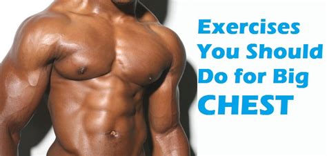Muscle Palace Top 5 Exercises You Should Do To Build A Bigger Chest