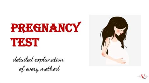 Pregancy Test Human Physiology Important Topic Of Reproductive System Physiology Of
