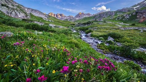 Landscape Beautiful Scenery Rocky Peaks Stream Meadow With Colorful Mountain Flowers Blue Sky