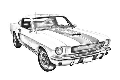 1965 Gt350 Mustang Muscle Car Illustration Posters By