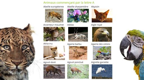 Les animaux + les grands animaux + les petits animaux. Nouveauté 2020 : la liste alphabétique des animaux avec ...
