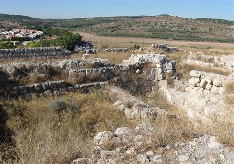 Israeli Scholars Claim To Have Uncovered First Archaeological Evidence