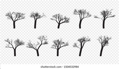 Naked Trees Silhouettes Set Hand Drawn Stock Vector Royalty Free Shutterstock
