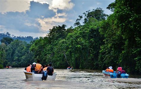 118 mudah com my sabah. Sabah Rancang Bina Kompleks Pelancongan Di Kinabatangan ...