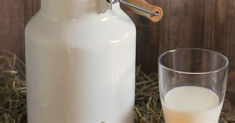 Milch gehört im ersten lebensjahr zu den wichtigsten nahrungsmitteln von babys. Milch und Milchprodukte für Babys - ab wann und wie viel?