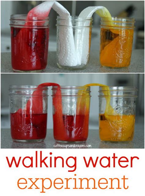 Fun And Creative Science Experiments For Kids