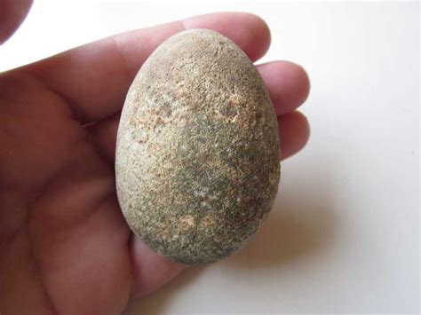 Fossils And Antiques Authentic Prehistoric Hadrosaur Dinosaur Fossil Egg