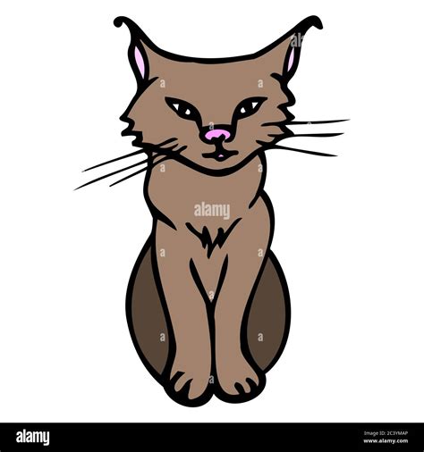 Hand Drawn Colorful Lynx Cartoon Color Lynx Outline Doodle Style