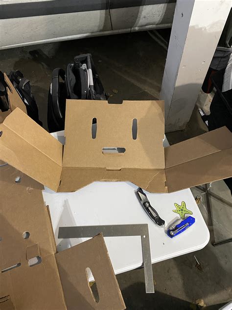 I was breaking down Costco boxes when this guy showed up. : r/pics