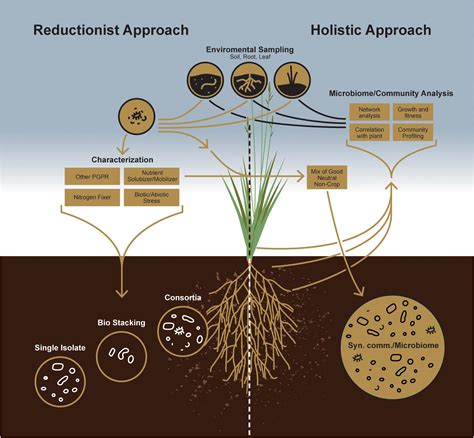Soil Microbiomes Microbiomes Health And The Environment